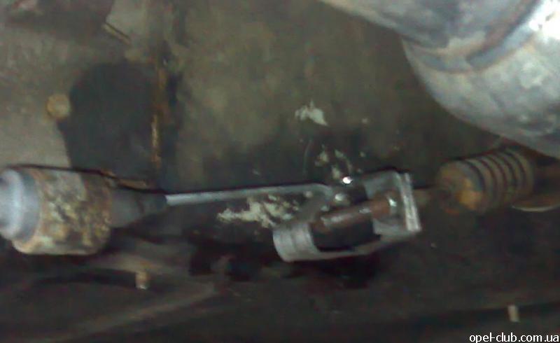 Размещенное изображение