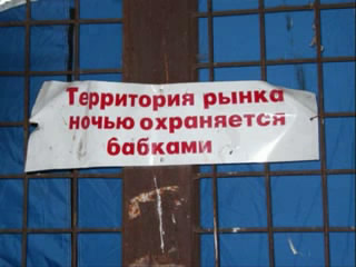 Размещенное изображение