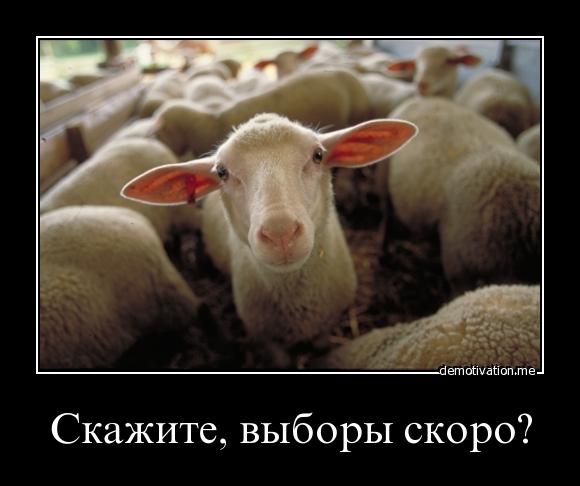 Размещенное изображение