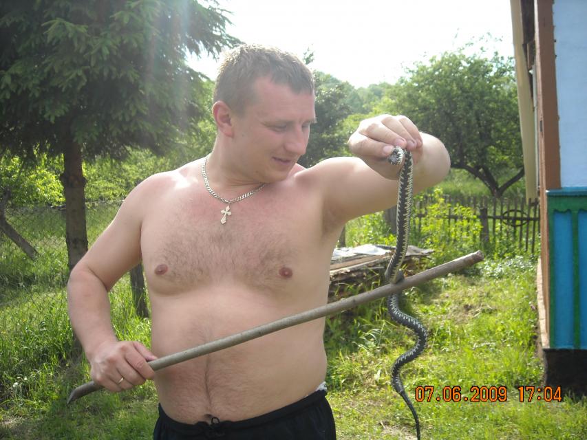 Размещенное изображение
