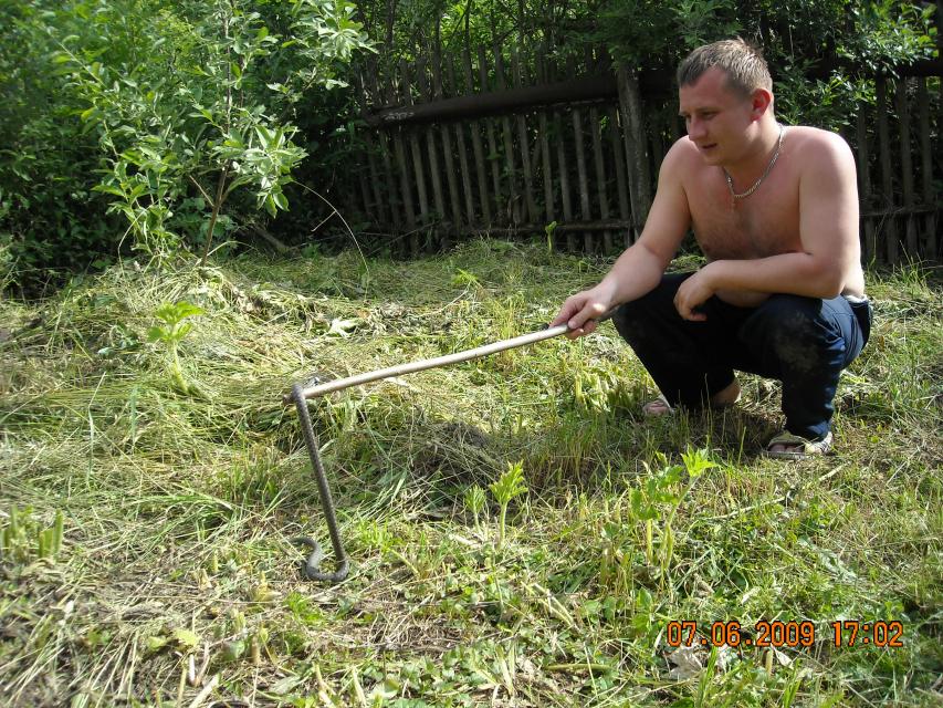 Размещенное изображение