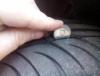 post-70149-0-17350100-1429535434_thumb.j