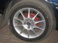 IMG_2561.jpg
