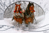 3edb392b.gif