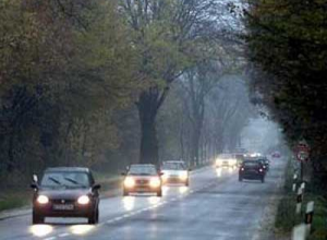 МВД рассказало об особенностях введения новых правил дорожного движения