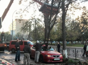 В Киеве дерево проткнуло салон автомобиля (ФОТО)