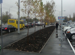 К 2015 году в Киеве создадут более 7тысяч новых парковочных мест