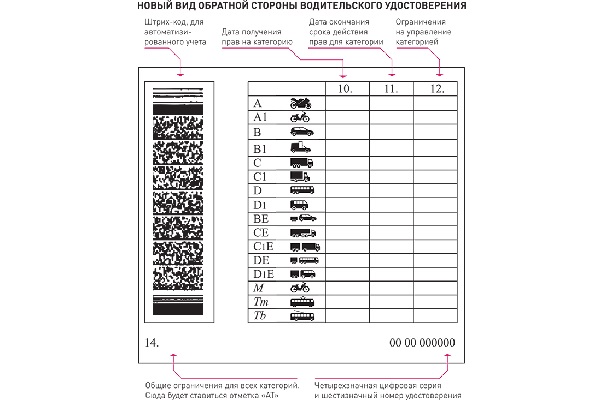 Водительское удостоверение в России, нового образц
